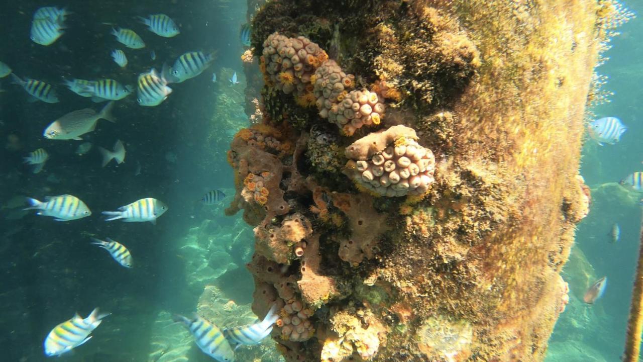 Pousada Conves - Ilha Grande Praia de Aracatiba Bagian luar foto