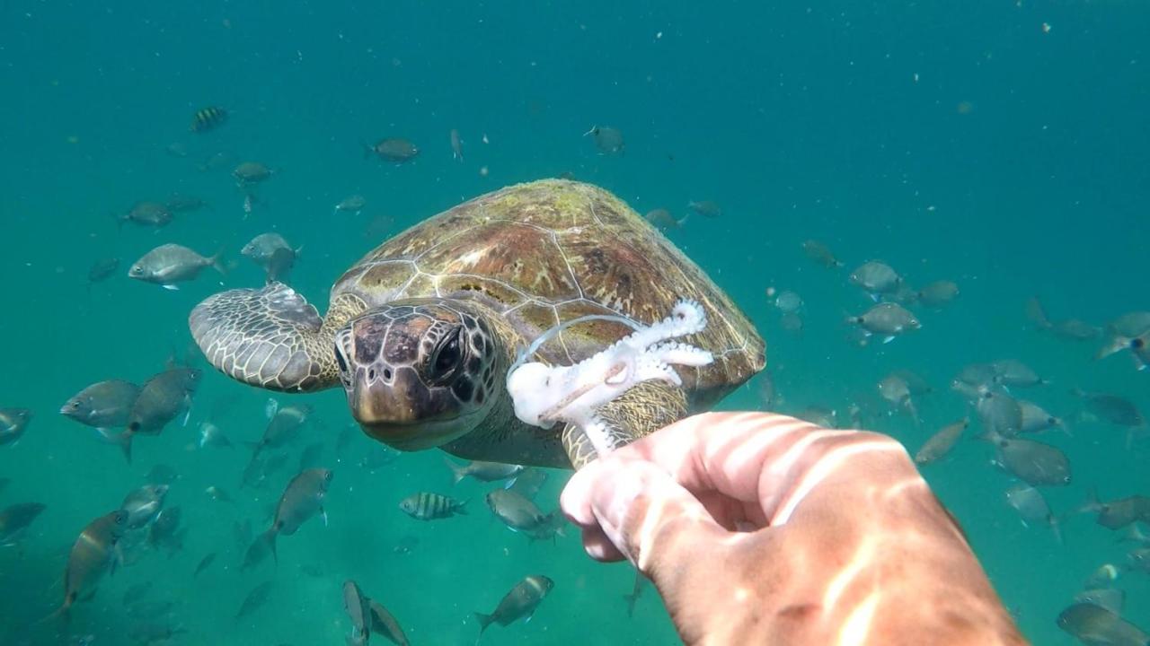 Pousada Conves - Ilha Grande Praia de Aracatiba Bagian luar foto